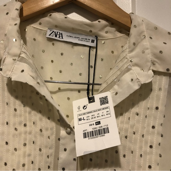 Zara Sheer Polka Dot Blouse - Picture 9 of 9